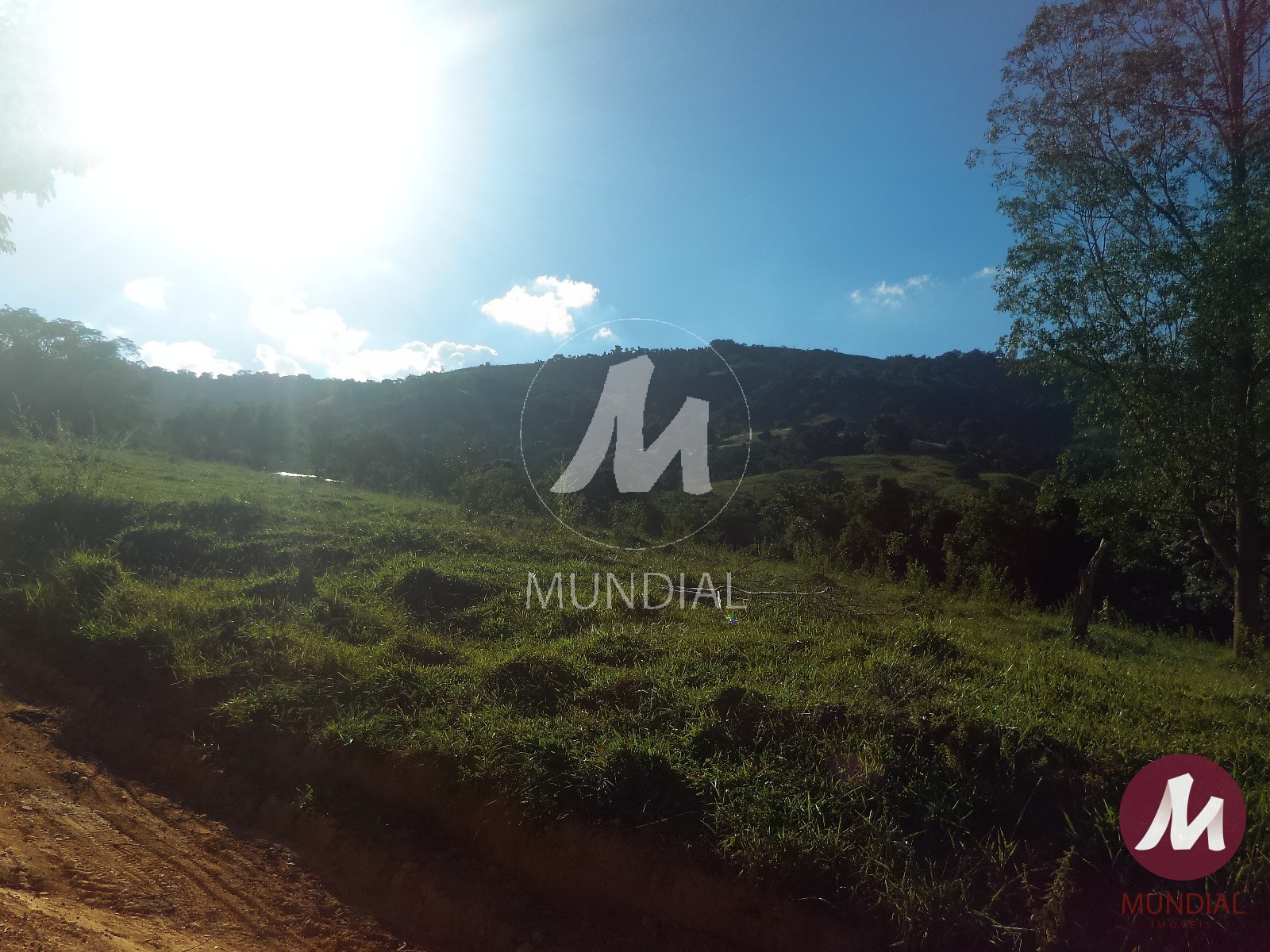 Terreno/Lote — foto 19