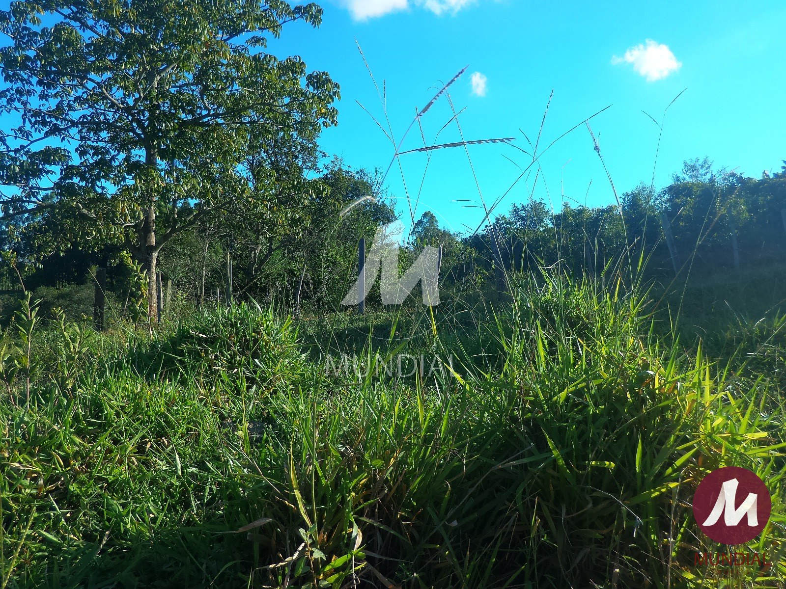 Terreno/Lote — foto 20