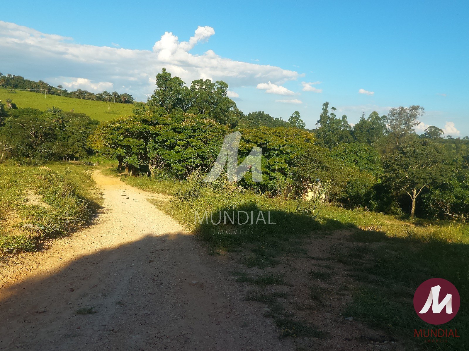 Terreno/Lote — foto 21