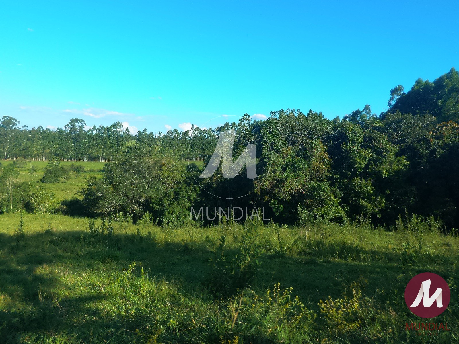 Terreno/Lote — foto 22