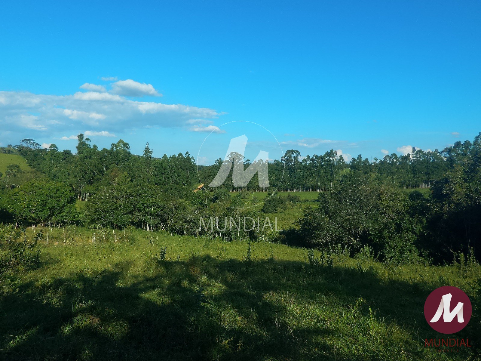 Terreno/Lote — foto 23