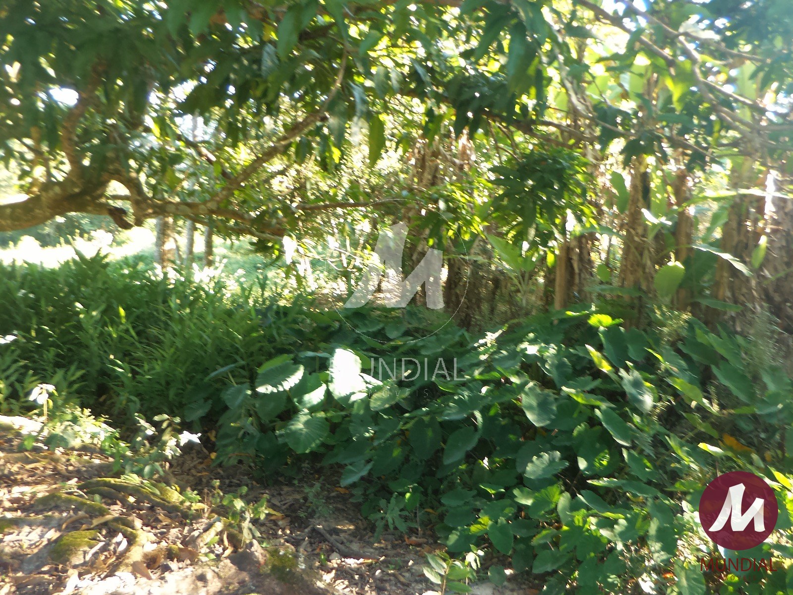Terreno/Lote — foto 25