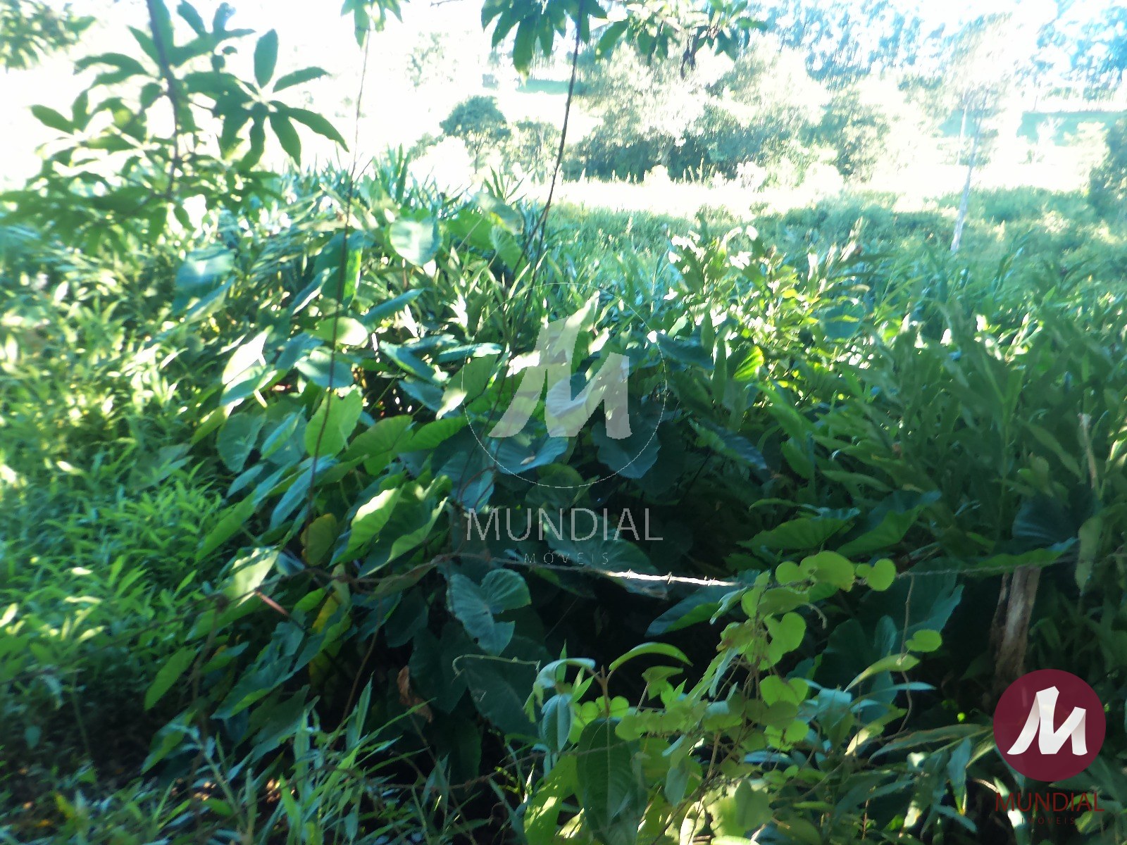 Terreno/Lote — foto 26