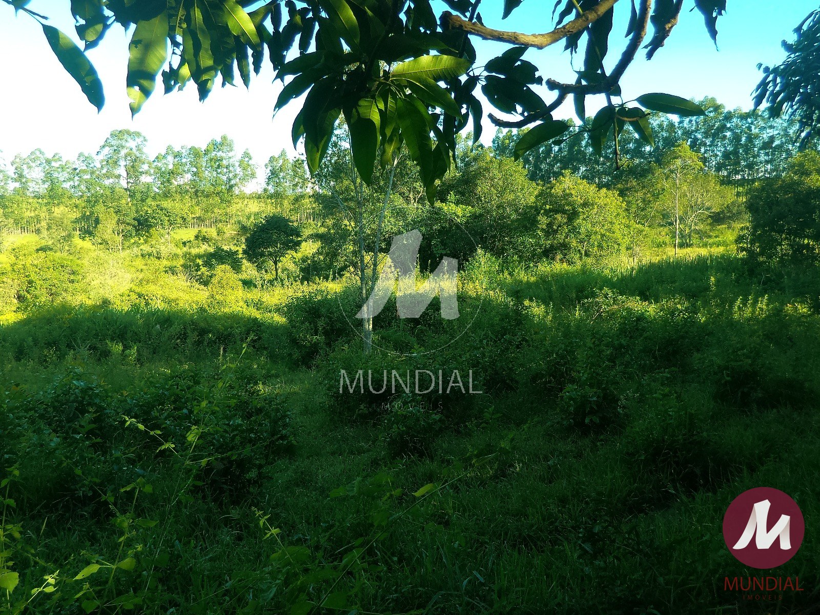 Terreno/Lote — foto 27