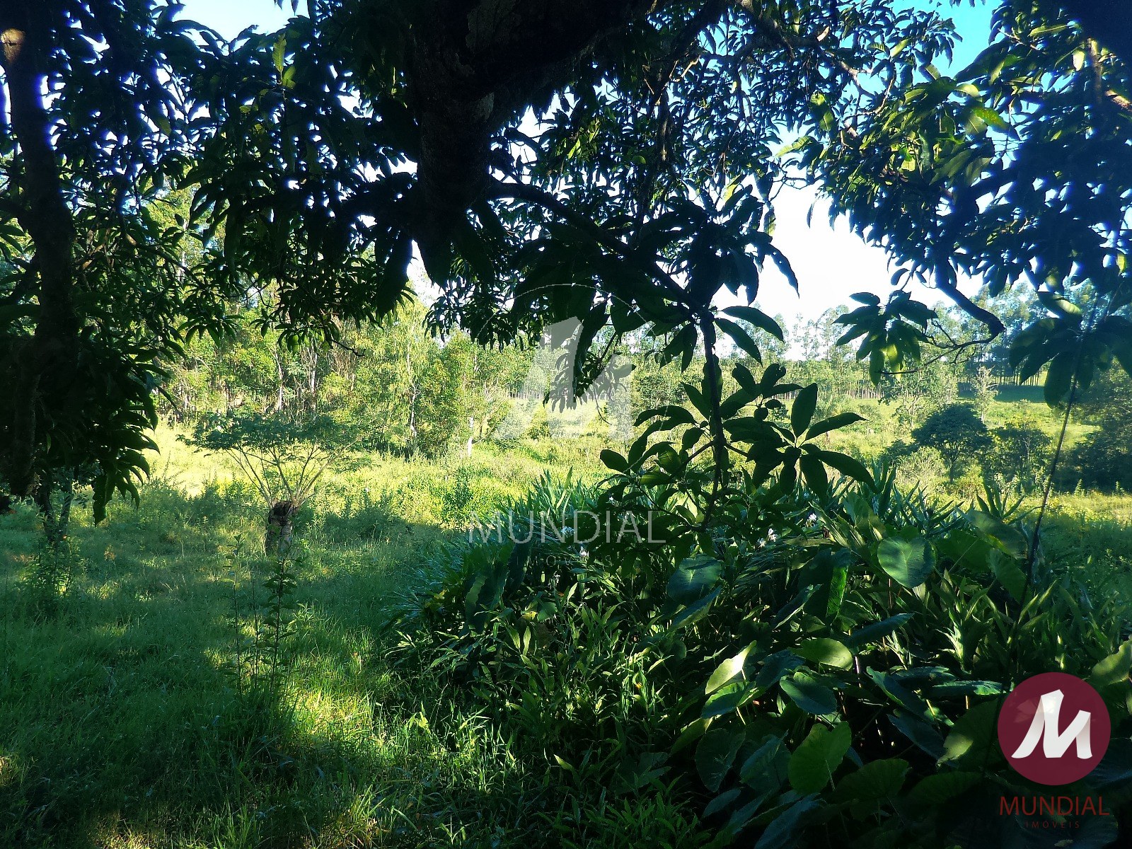 Terreno/Lote — foto 28