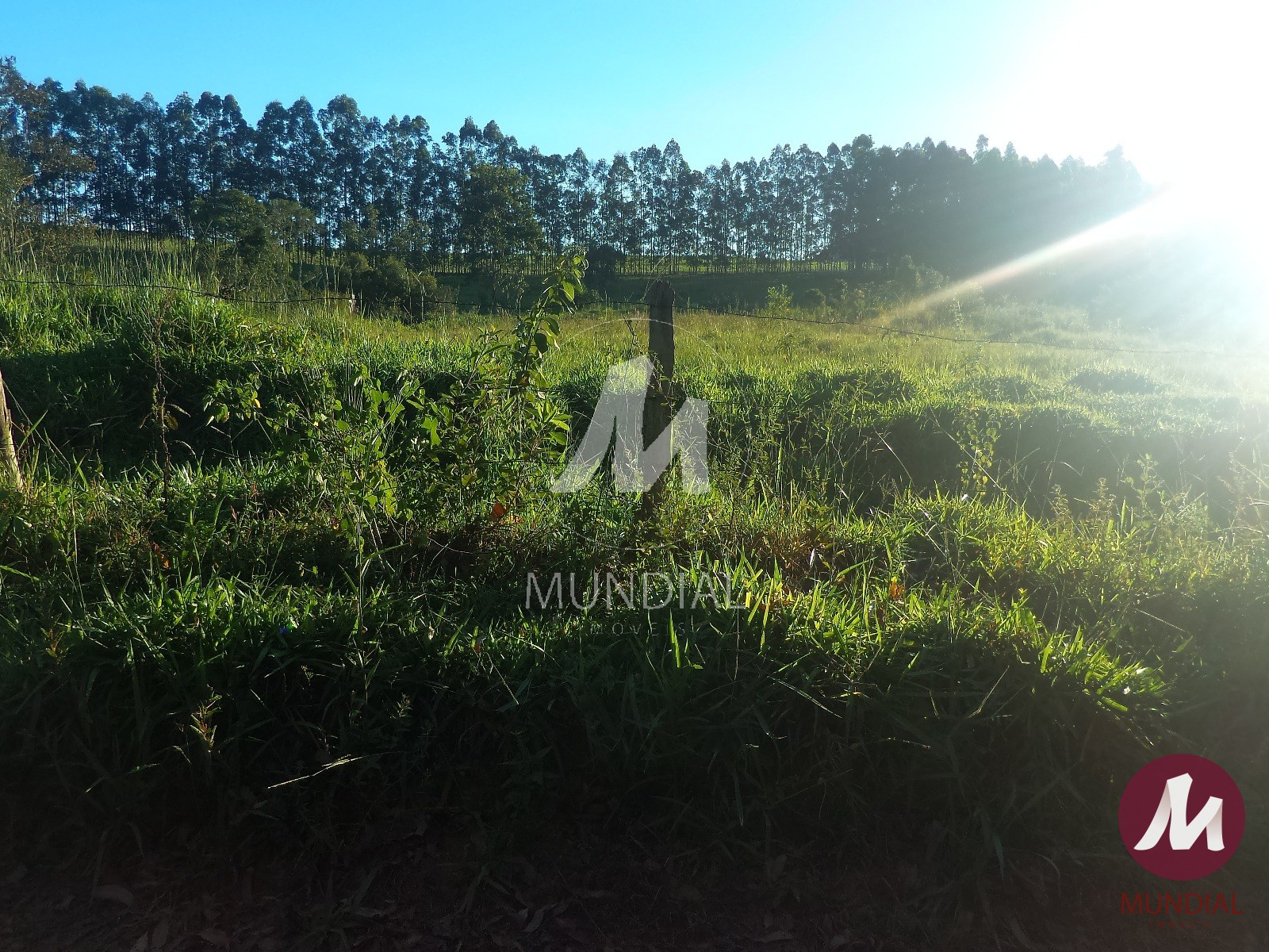 Terreno/Lote — foto 30