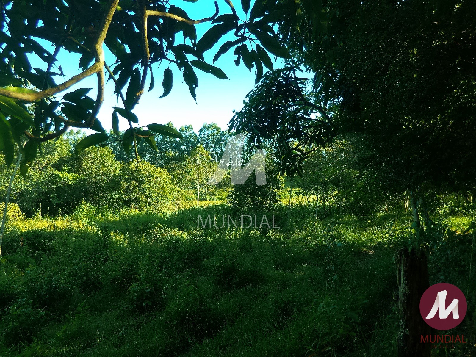 Terreno/Lote — foto 31