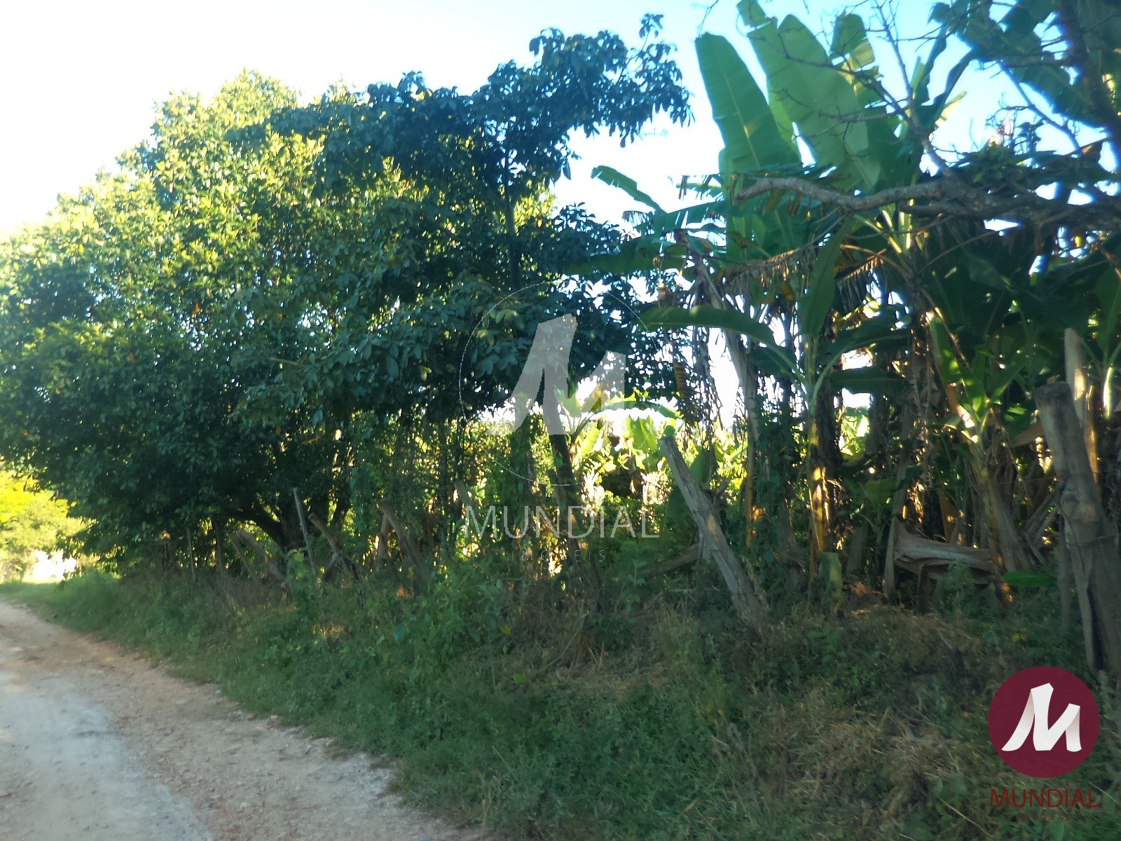 Terreno/Lote — foto 33