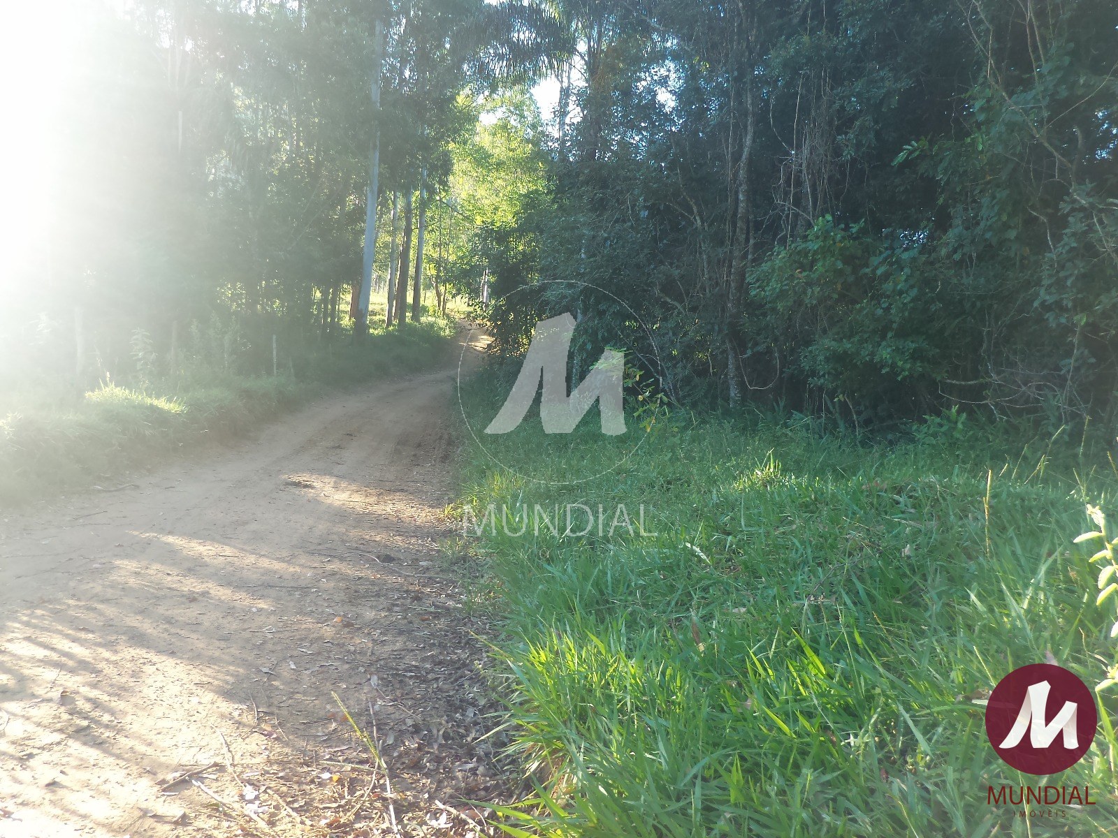 Terreno/Lote — foto 36
