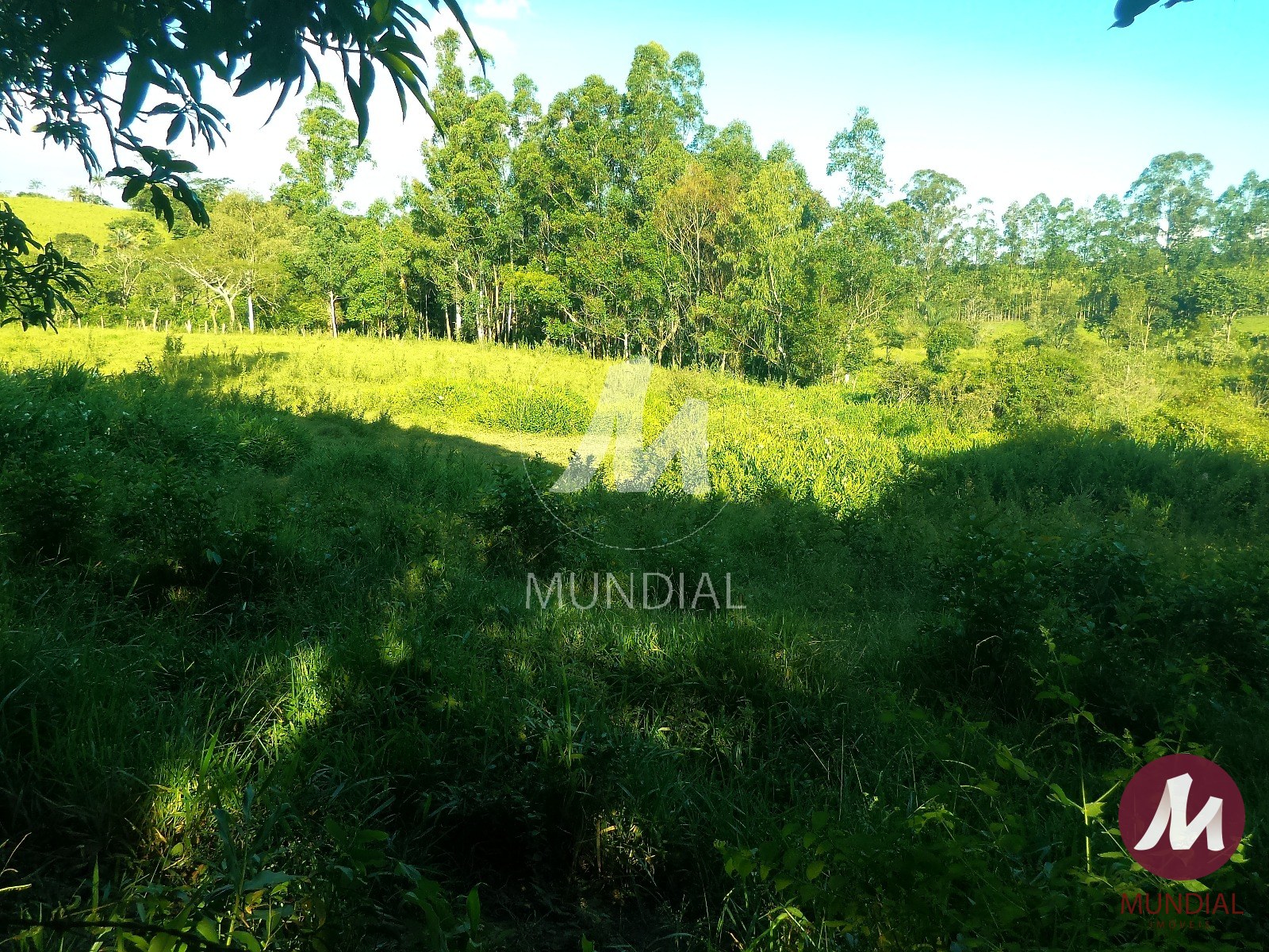 Terreno/Lote — foto 37