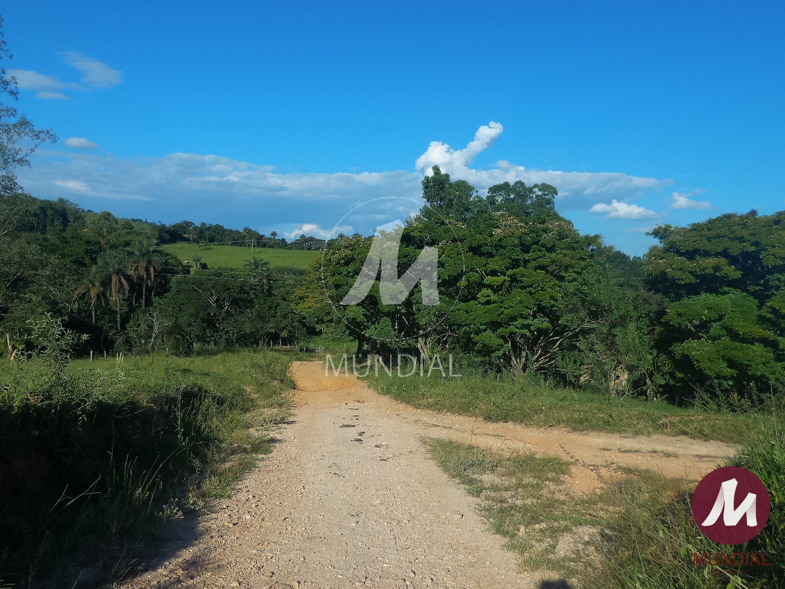 Terreno/Lote — foto 38