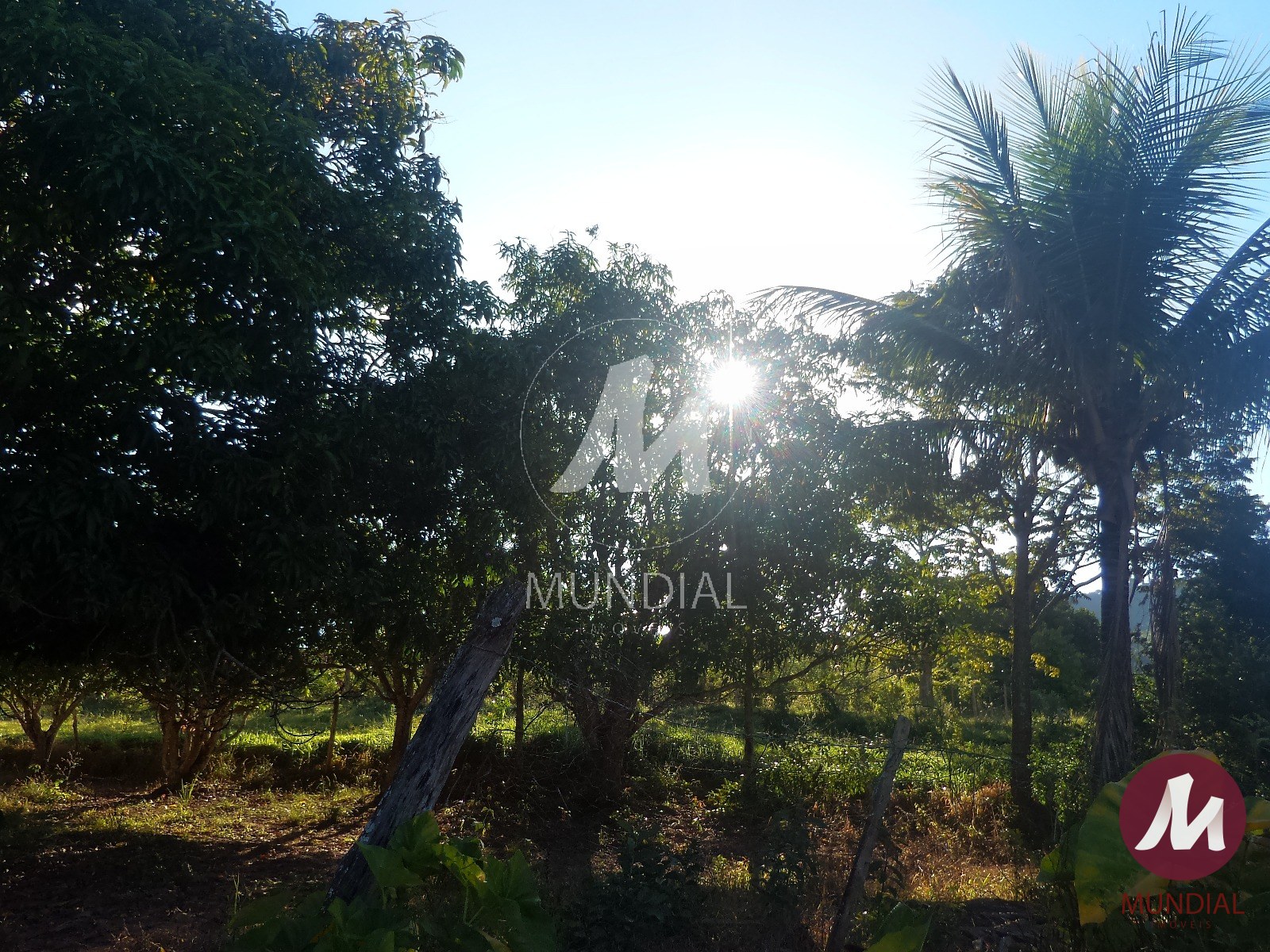 Terreno/Lote — foto 39