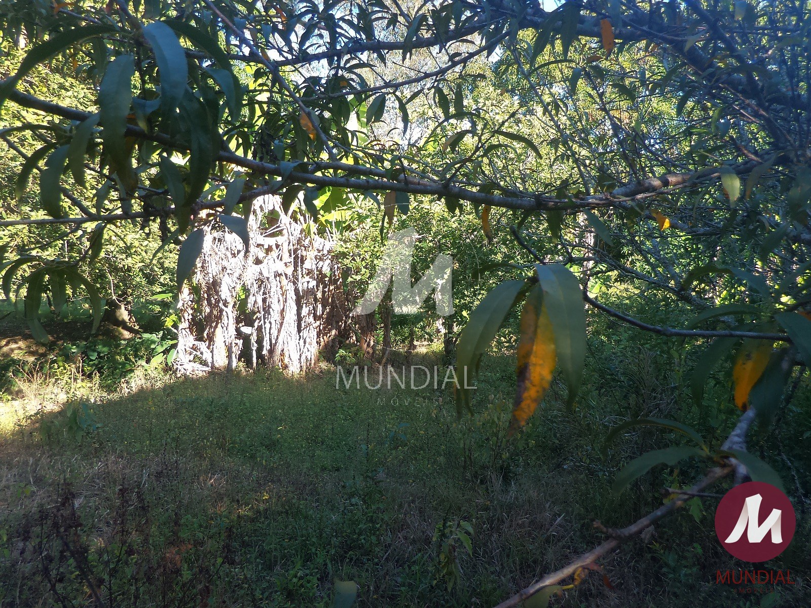 Terreno/Lote — foto 40