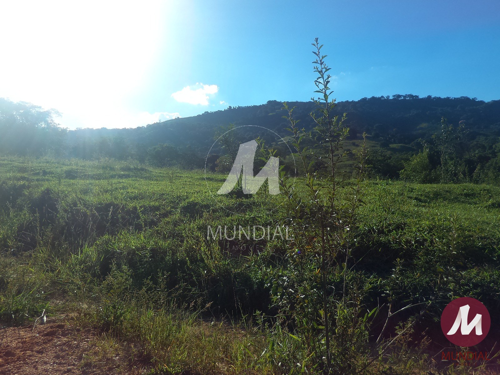 Terreno/Lote — foto 41