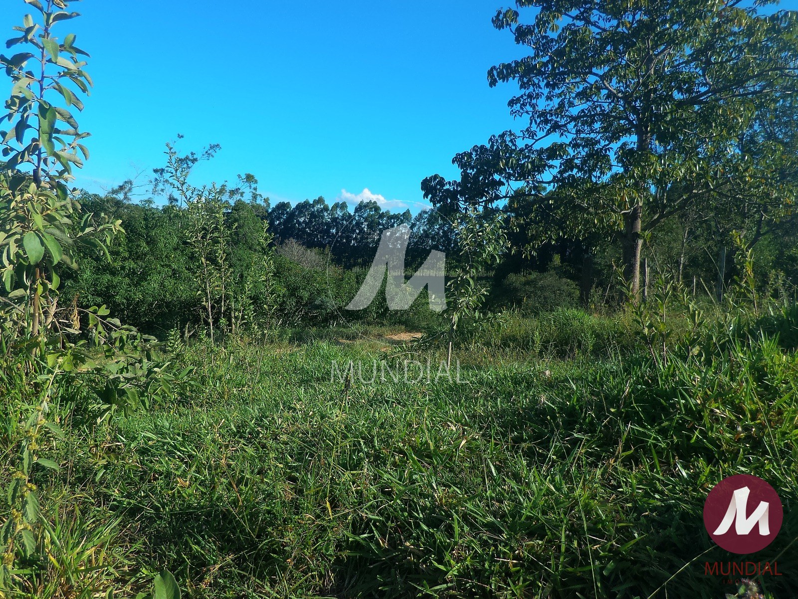 Terreno/Lote — foto 42