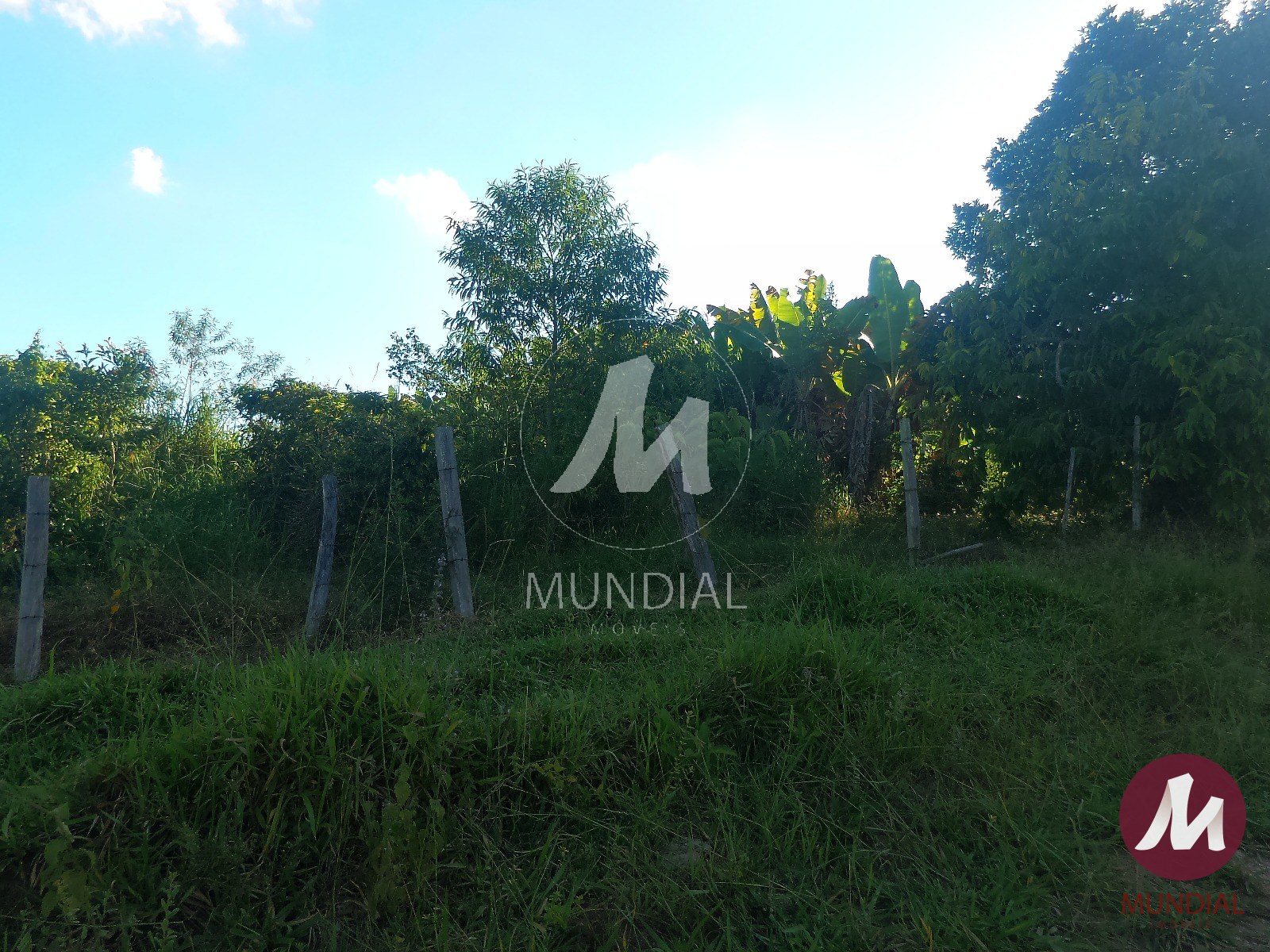 Terreno/Lote — foto 43