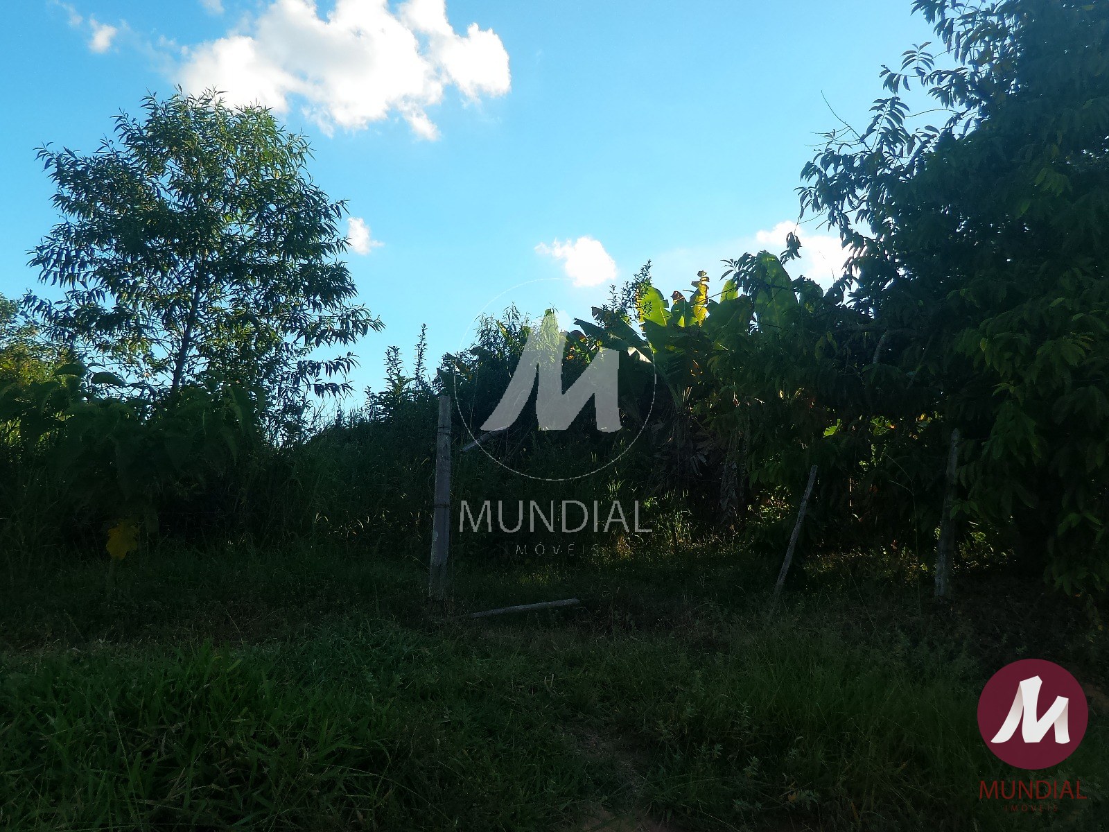 Terreno/Lote — foto 44