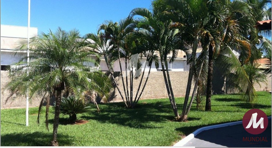 Quintal/corredores — foto 5