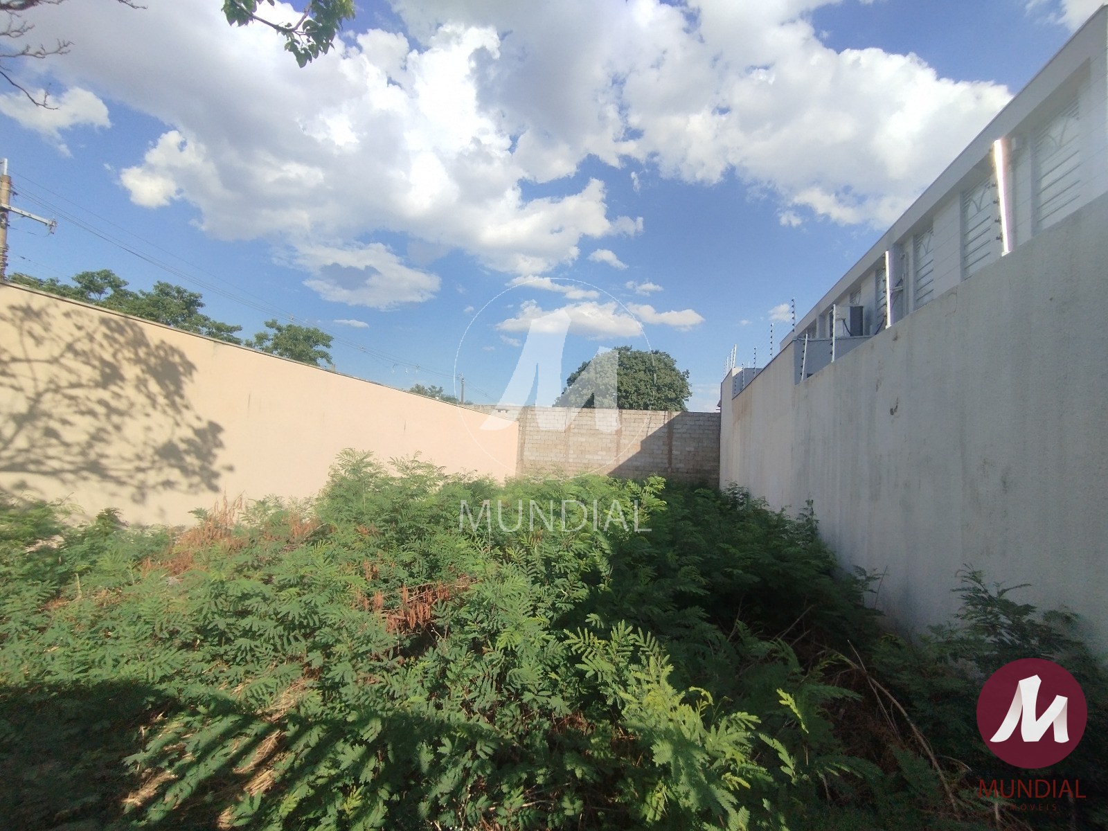 Terreno/Lote — foto 2