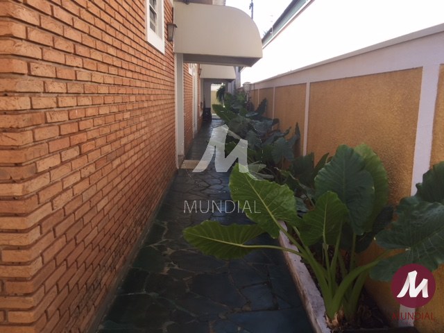 Quintal/corredores — foto 22