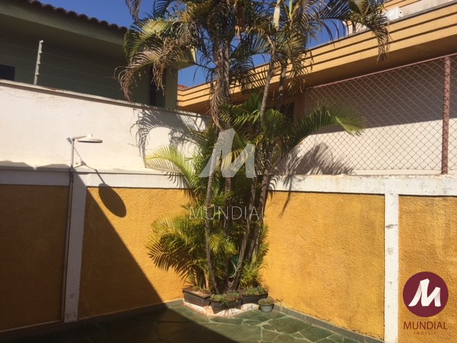 Quintal/corredores — foto 23