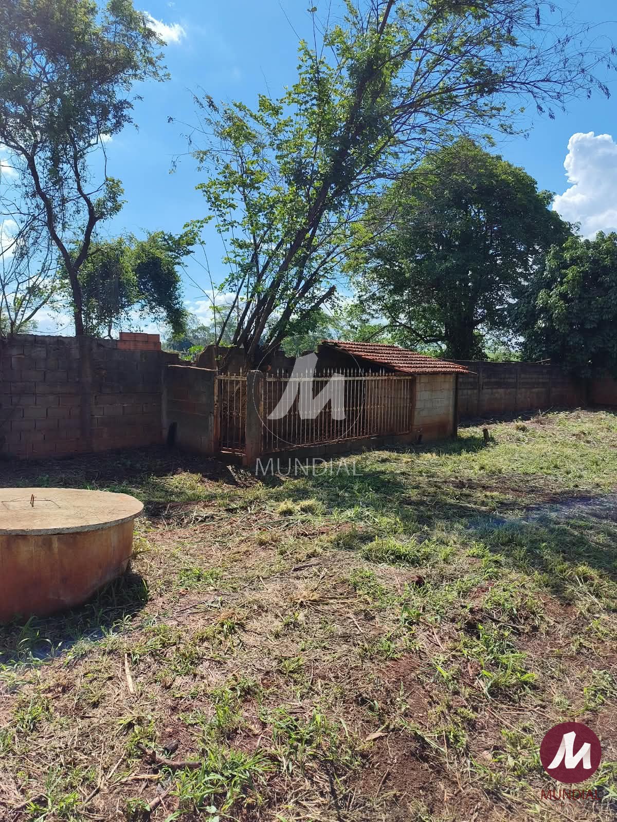 Quintal/corredores — foto 13