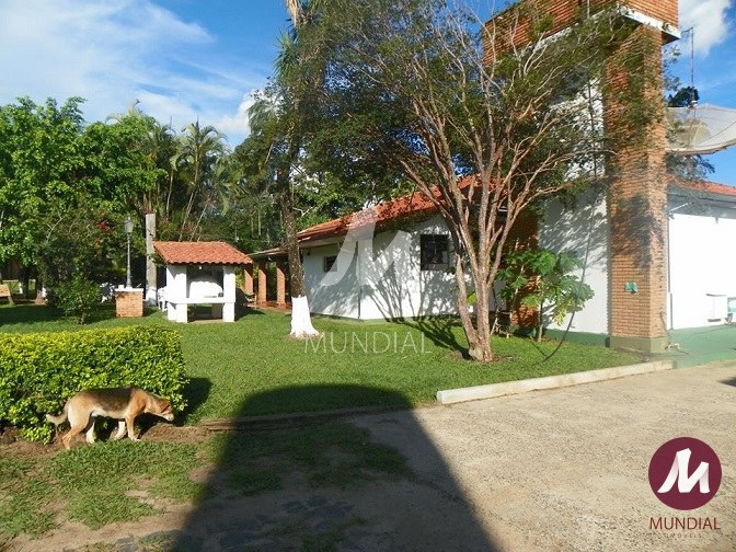 Vista do Imóvel — foto 12