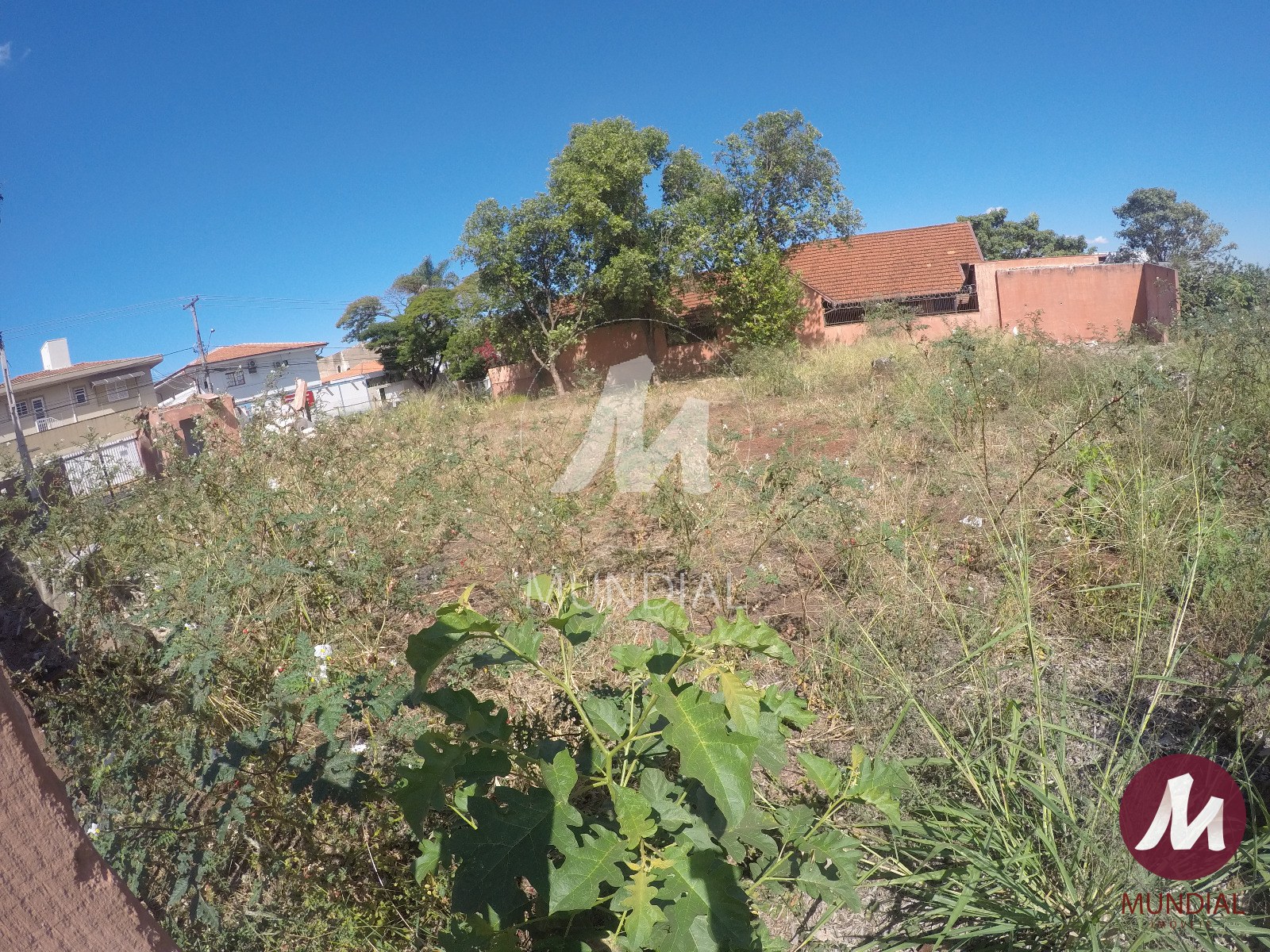 Terreno/Lote — foto 6
