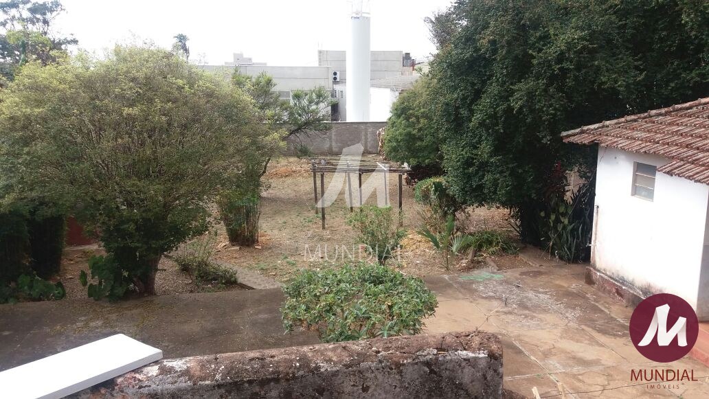 Quintal/corredores — foto 6