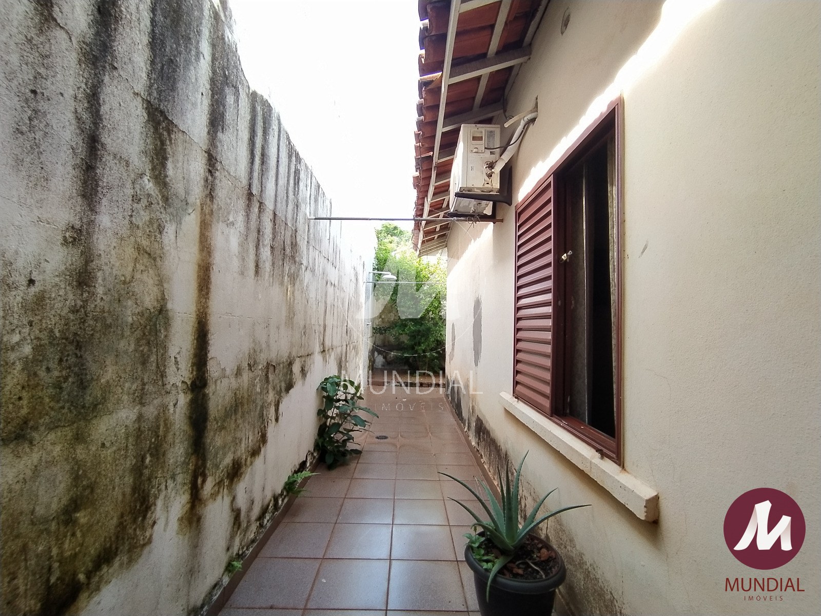 Quintal/corredores — foto 14