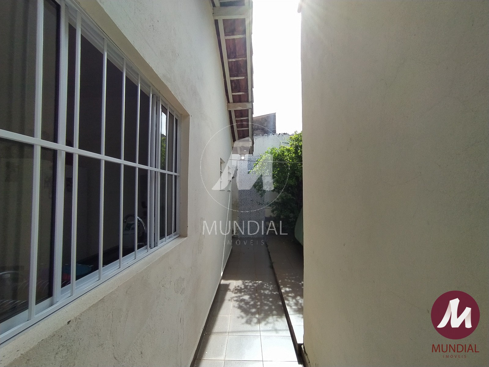 Quintal/corredores — foto 15