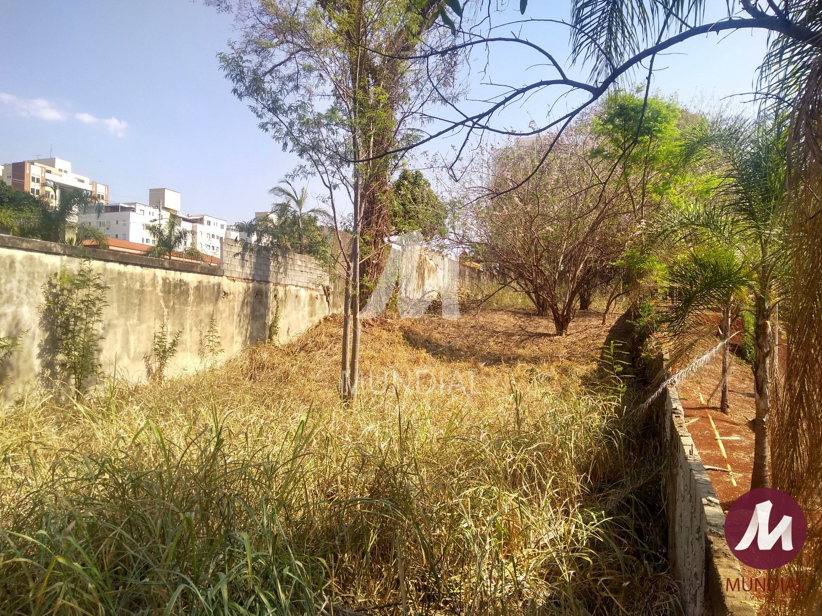 Terreno/Lote — foto 2