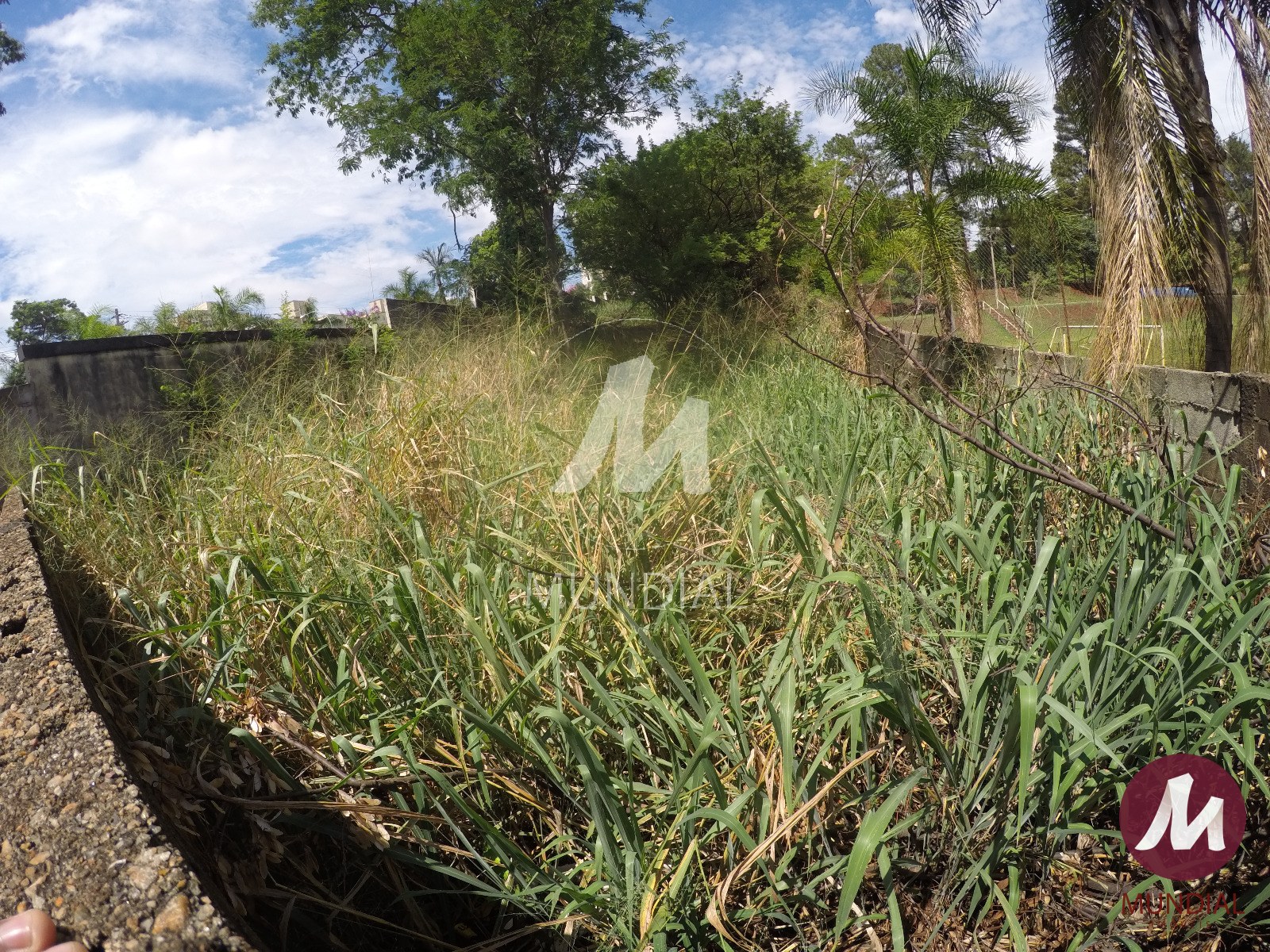 Terreno/Lote — foto 3