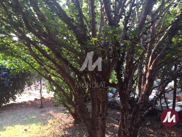 Outras — foto 51