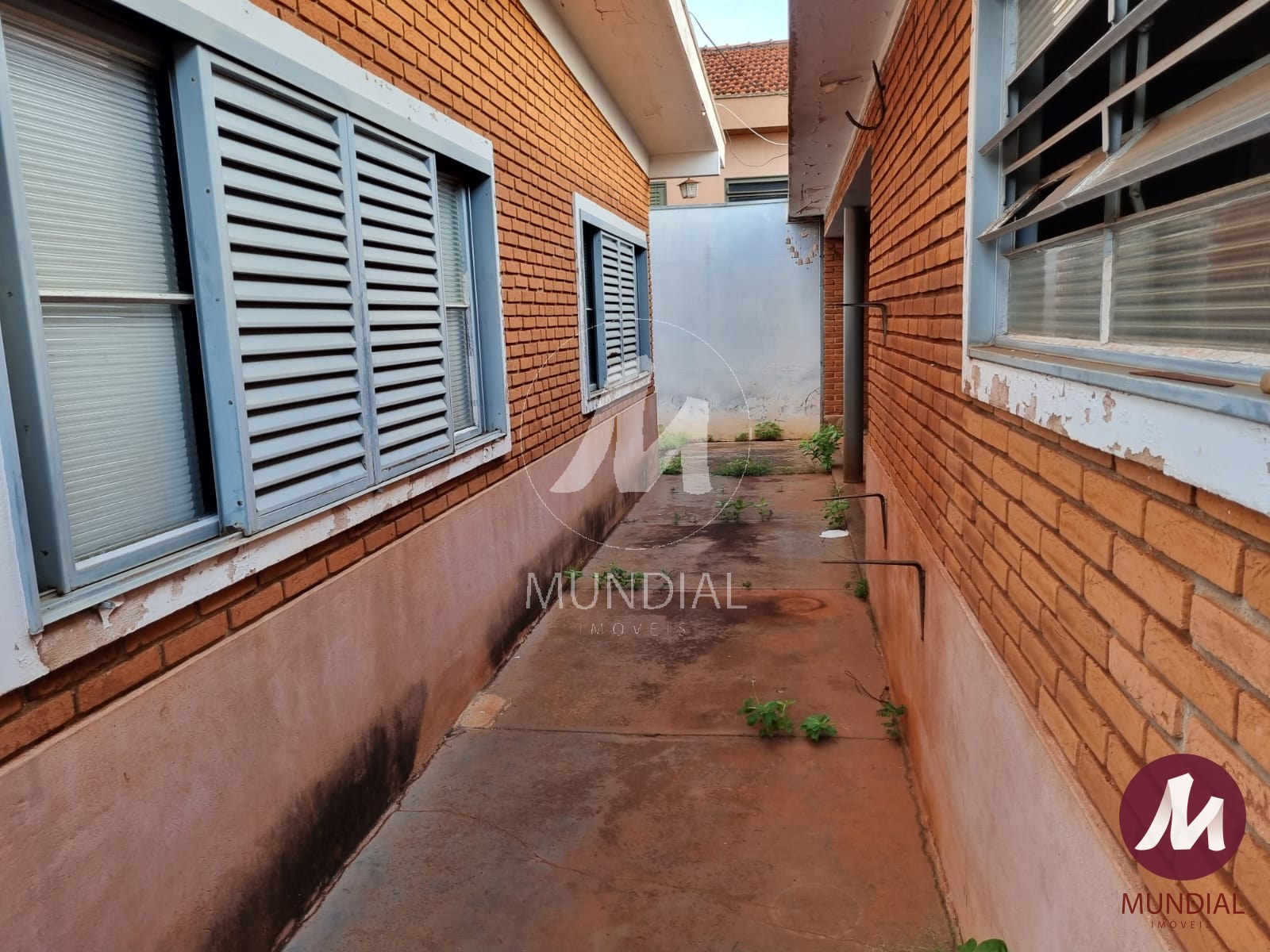 Quintal/corredores — foto 18