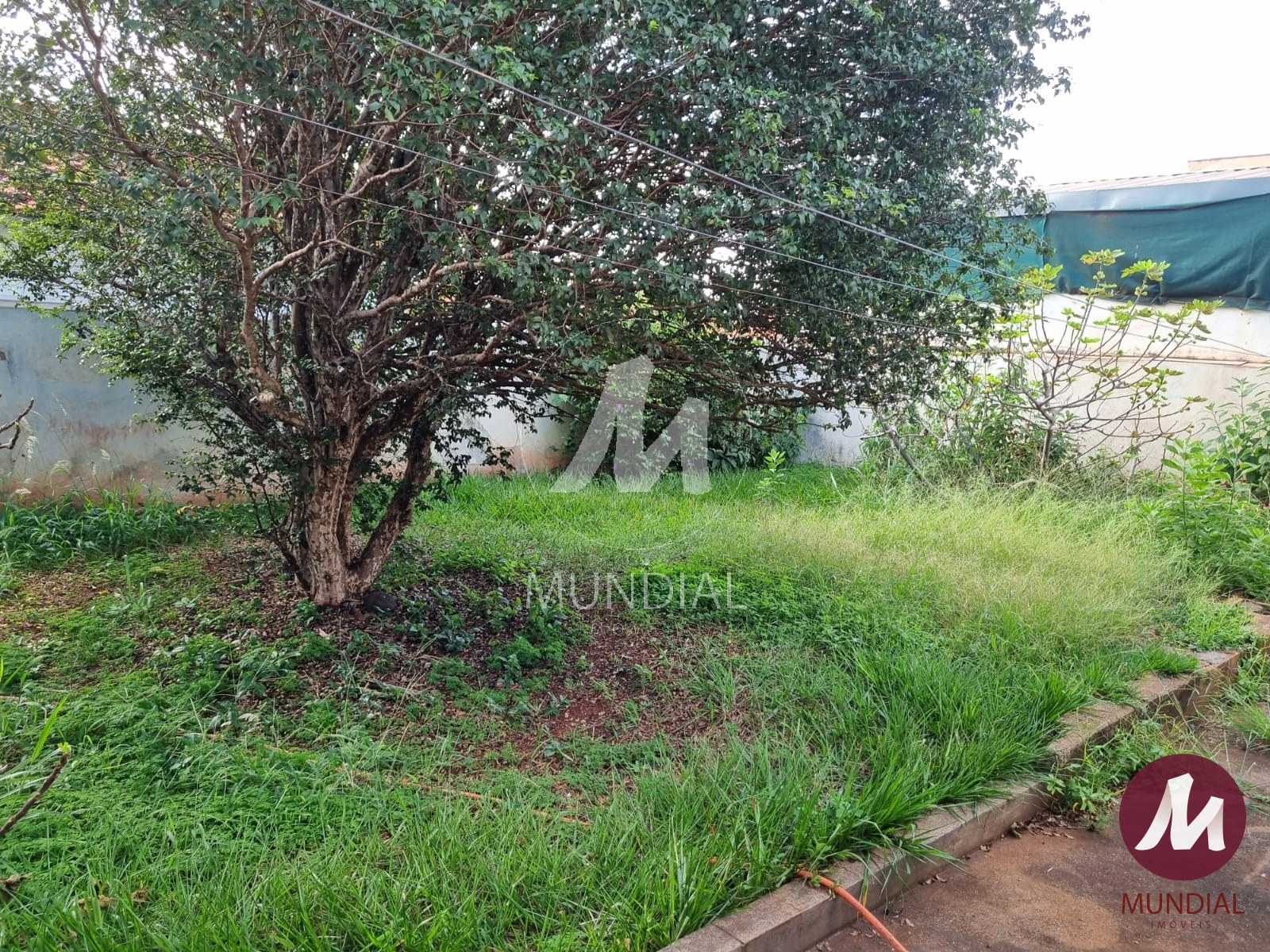 Quintal/corredores — foto 20