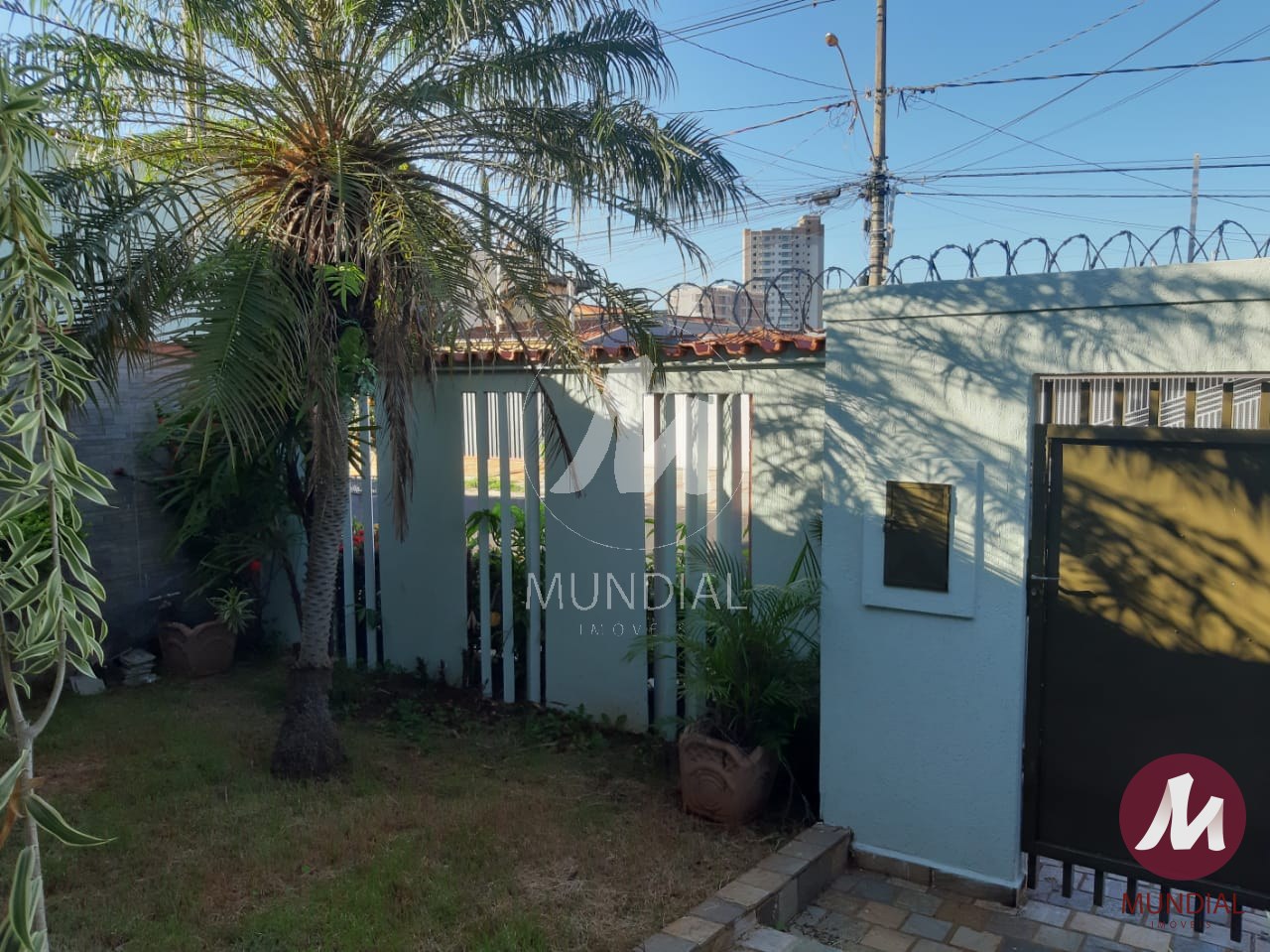 Jardim — foto 1