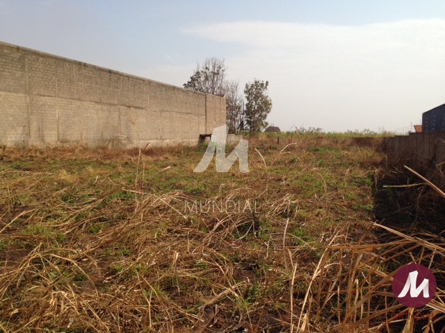Terreno/Lote — foto 3