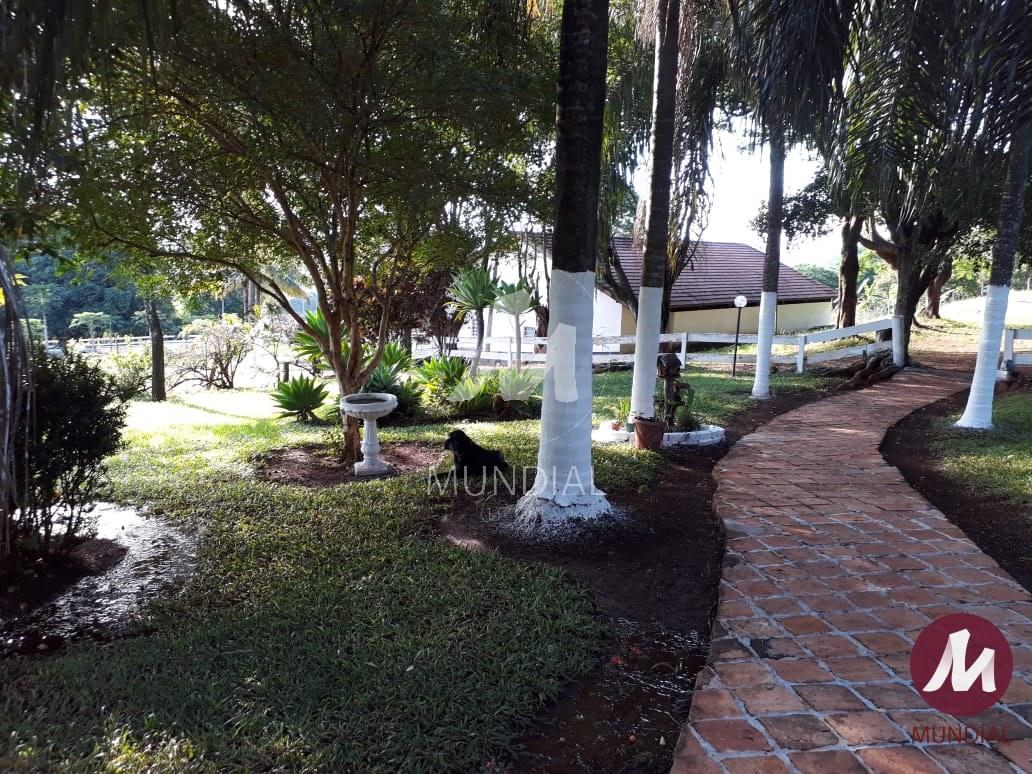 Outras — foto 13