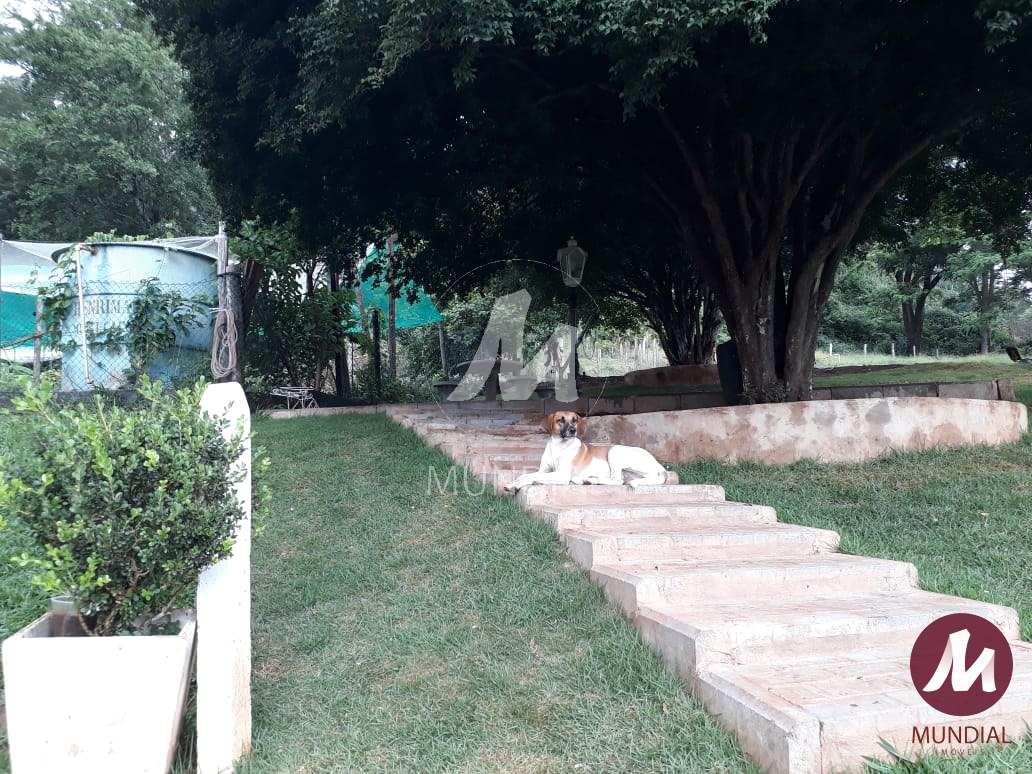 Outras — foto 16
