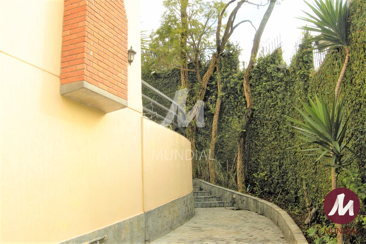 Quintal/corredores — foto 31