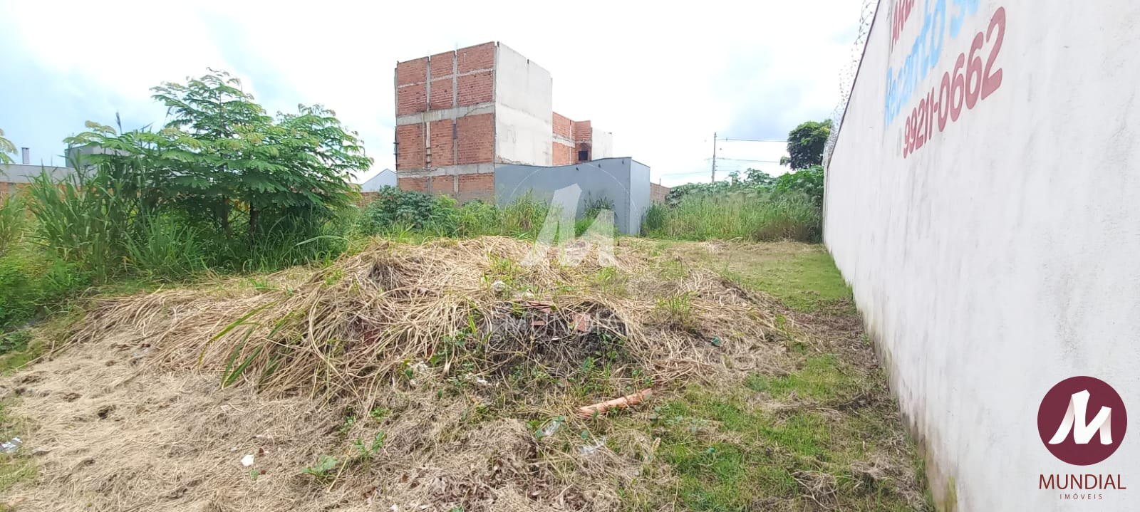 Recepção — foto 2