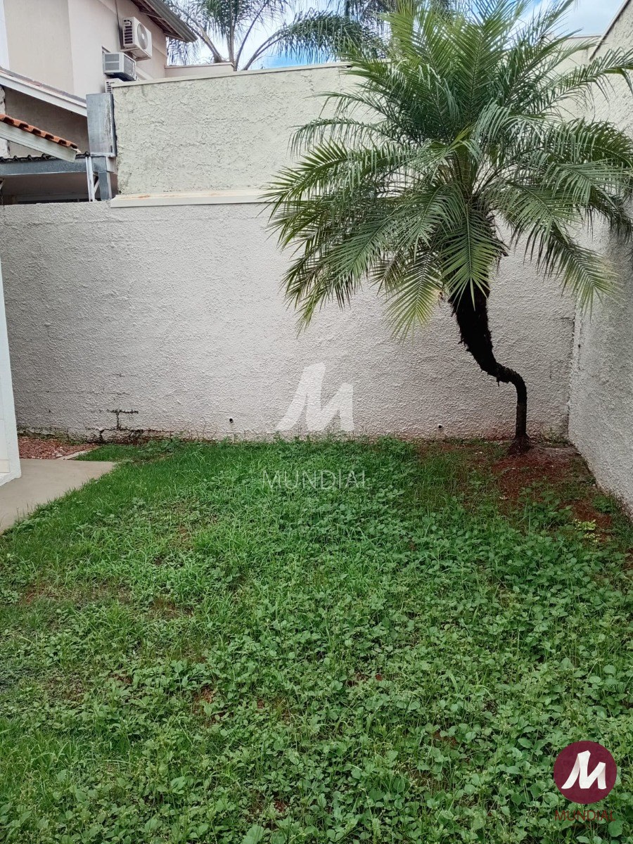 Quintal/corredores — foto 21