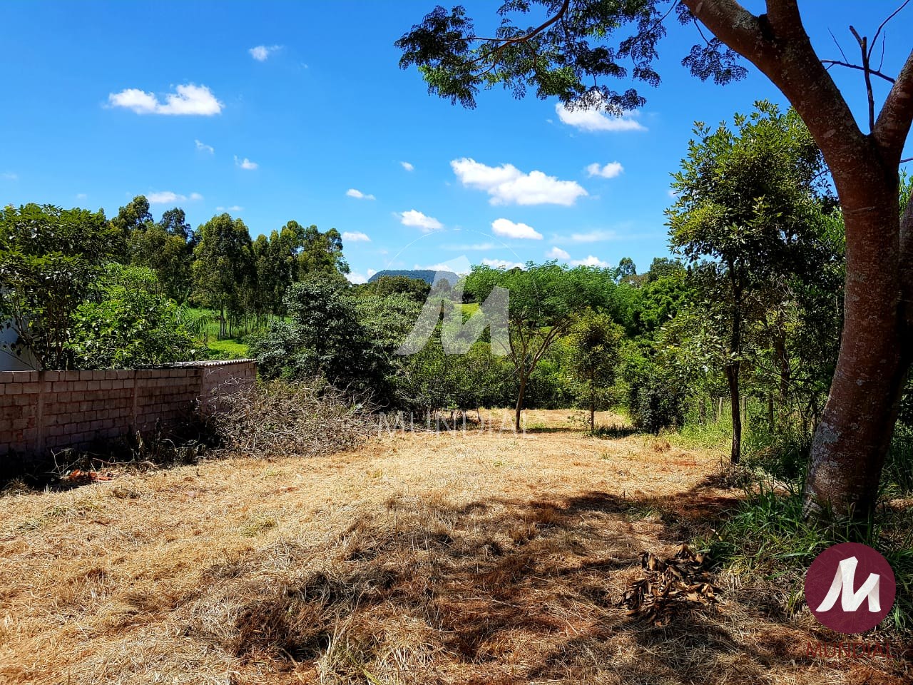 Terreno/Lote — foto 4