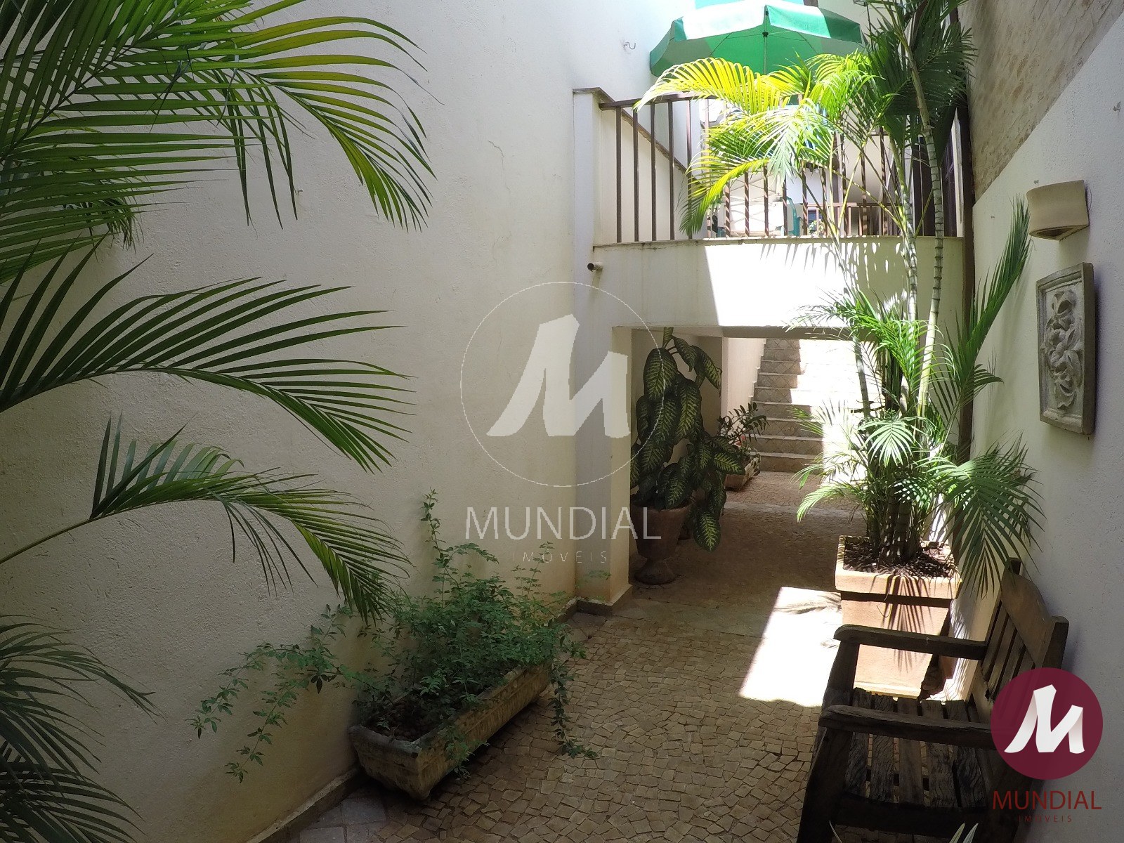 Quintal/corredores — foto 6