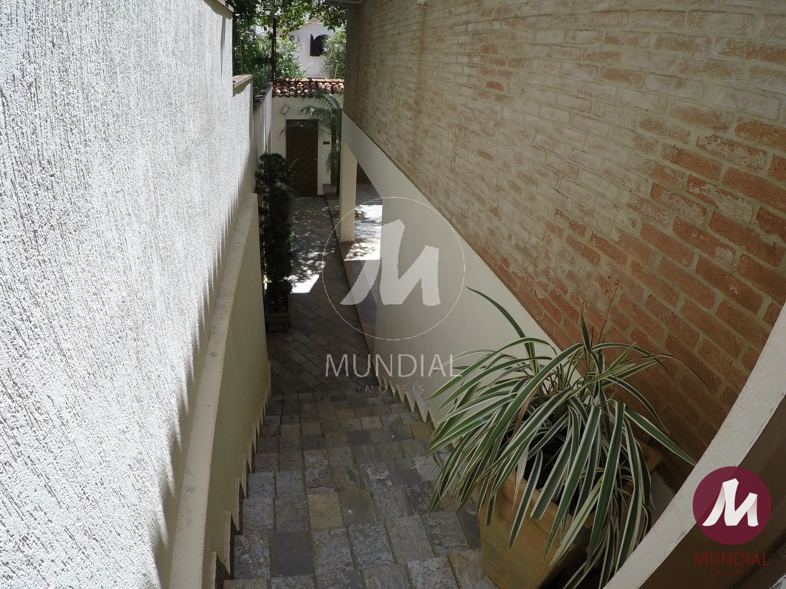Quintal/corredores — foto 17