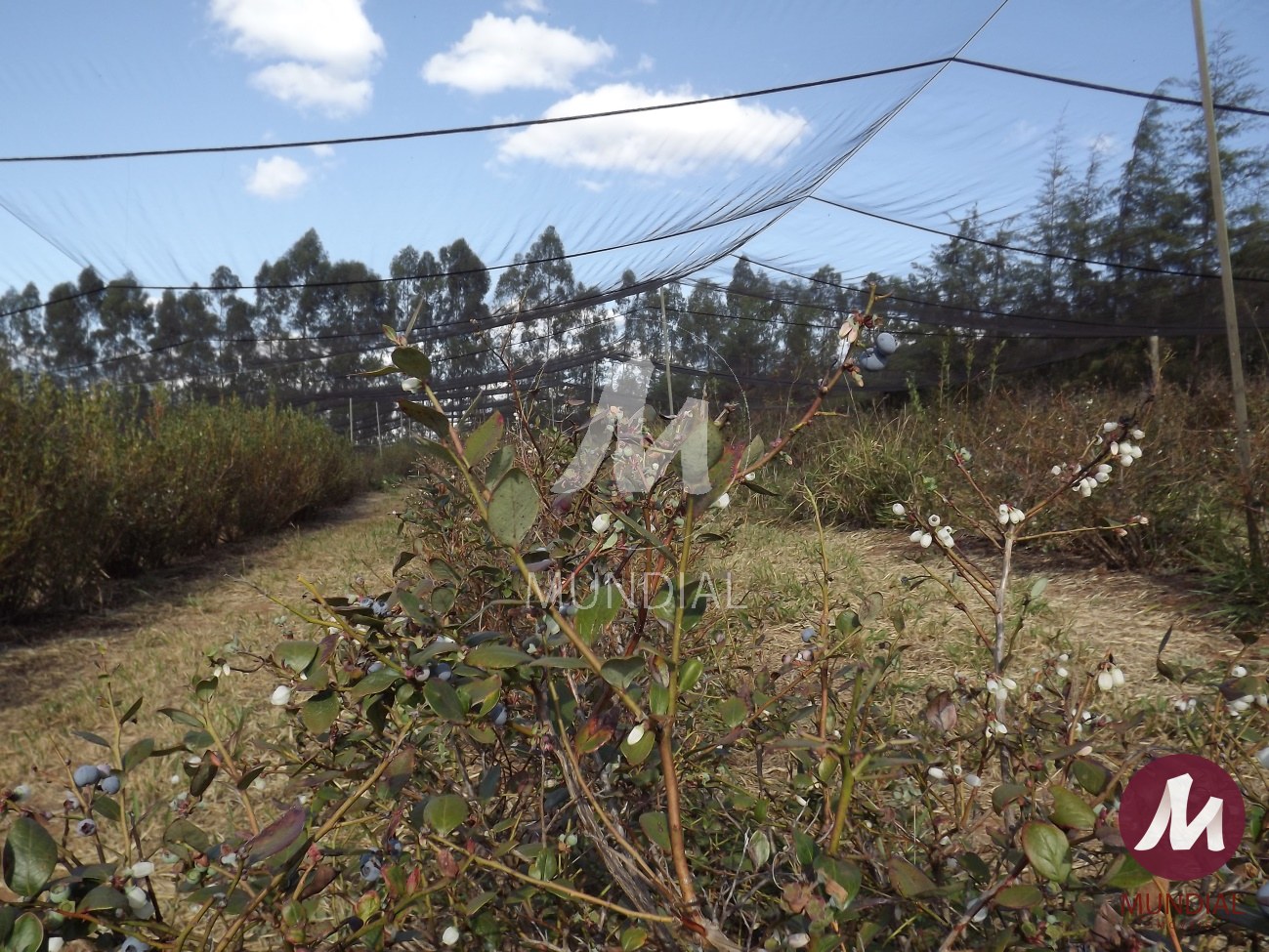 Terreno/Lote — foto 2