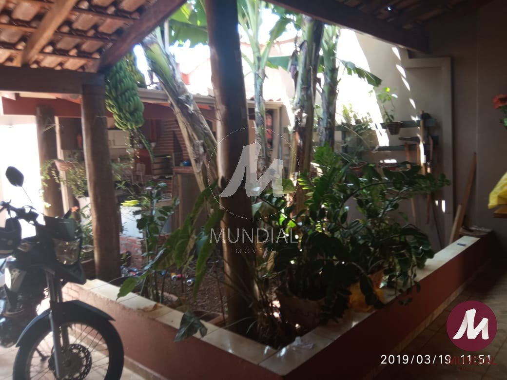 Jardim — foto 9