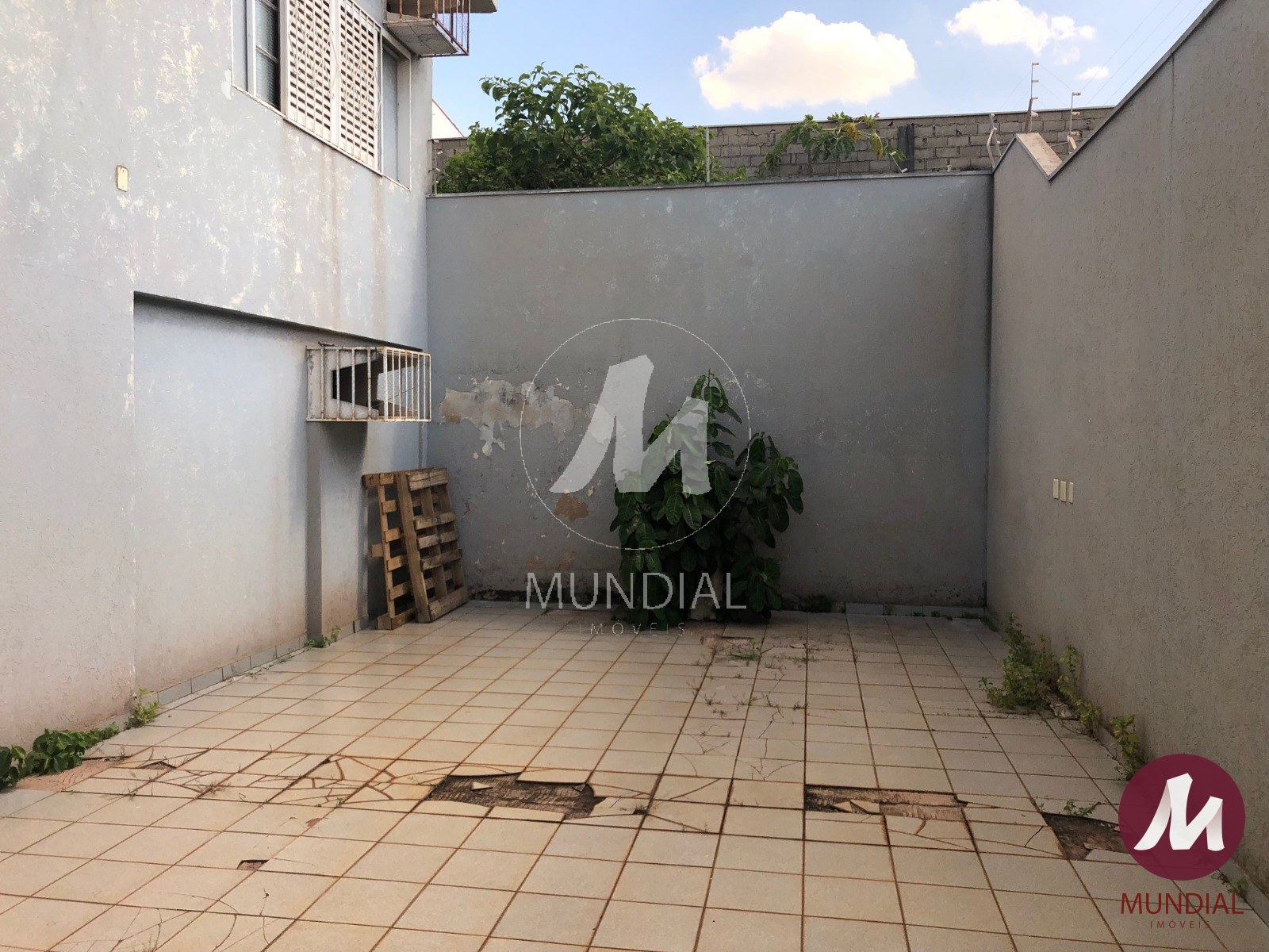 Quintal/corredores — foto 28
