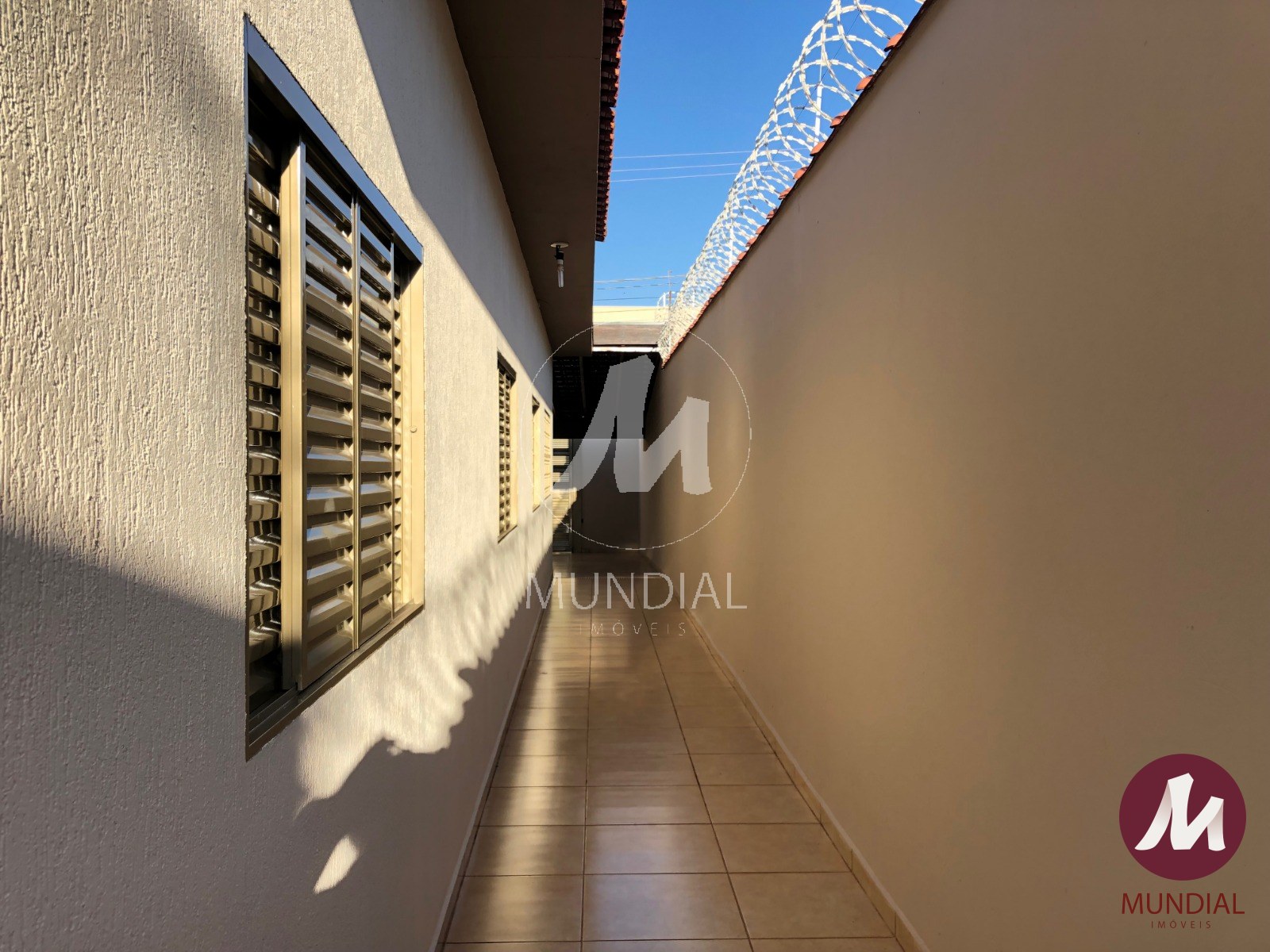 Quintal/corredores — foto 3